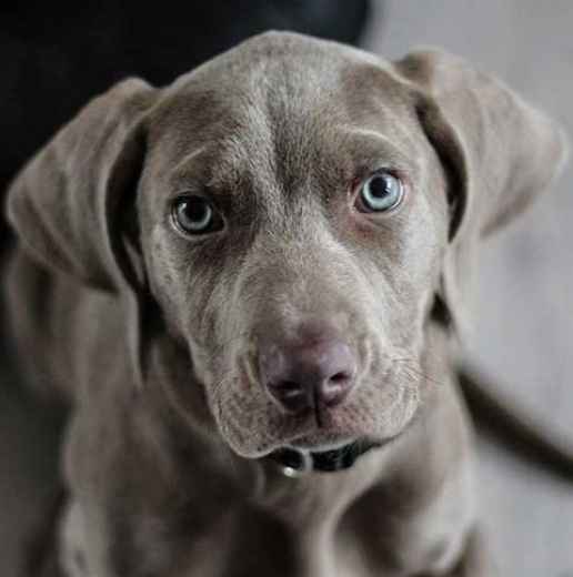 Picture for category Other Supplements & Supplies